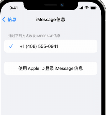 栖霞apple维修iPhone上无法正常发送iMessage信息 