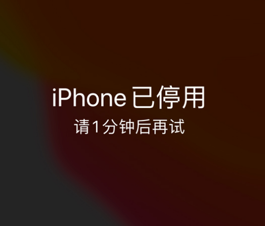 栖霞苹果手机维修分享:iPhone 显示“不可用”或“已停用”怎么办？还能保留数据吗？ 