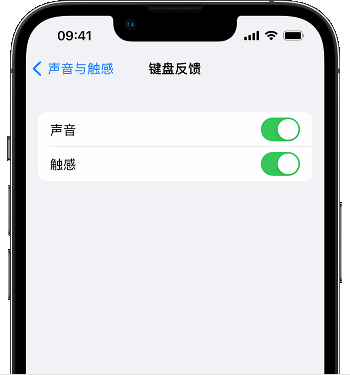 栖霞苹果14维修店分享如何在 iPhone 14 机型中使用触感键盘 