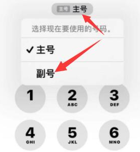 栖霞苹果14维修店分享iPhone 14 Pro Max使用副卡打电话的方法 