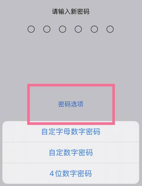 栖霞苹果14维修分享iPhone 14plus设置密码的方法 