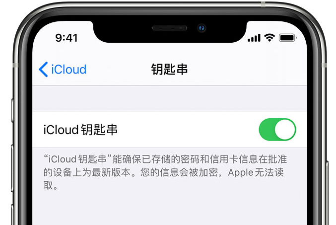 栖霞苹果手机维修分享在 iPhone 上开启 iCloud 钥匙串之后会储存哪些信息 